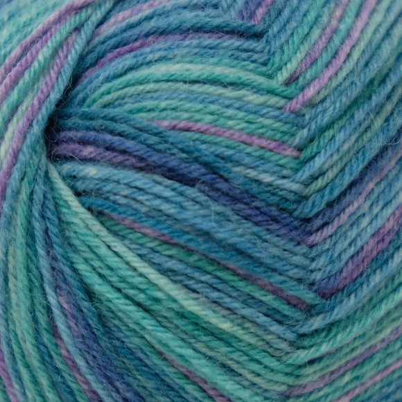 Opal Africa (4ply) Extraordinary (11164)