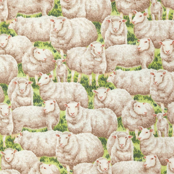 Paintbrush Studio Sheep 120-179