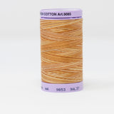 Mettler - Silk-Finish Cotton Multi 50 - 9853 Iced Coffee