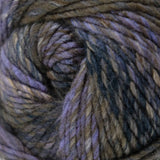 King Cole Cottagespun (Chunky) 6006 Autumn Heather