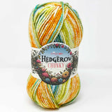 King Cole Hedgerow (Chunky) 5844 Blackthorn