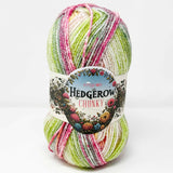 King Cole Hedgerow (Chunky) 5846 Dewdrop