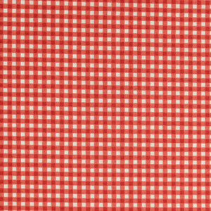 920 Gingham Red R6