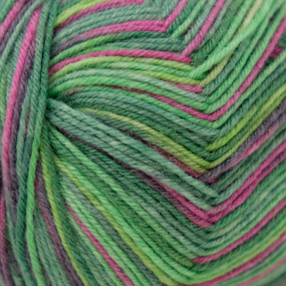 Opal Africa (4ply) Multifaceted (11165)