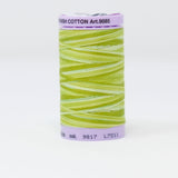 Mettler - Silk-Finish Cotton Multi 50 - 9817 Little Spouts