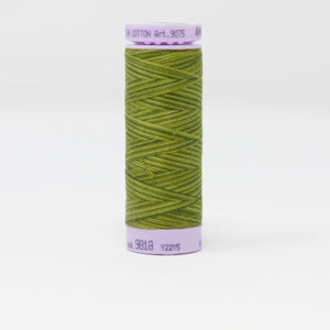 Mettler - Silk-Finish Cotton Multi 50 - 9818 Ferns