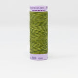 Mettler - Silk-Finish Cotton Multi 50 - 9818 Ferns