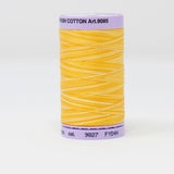 Mettler - Silk-Finish Cotton Multi 50 - 9827 Horizon