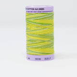 Mettler - Silk-Finish Cotton Multi 50 - 9830 Citrus Twist