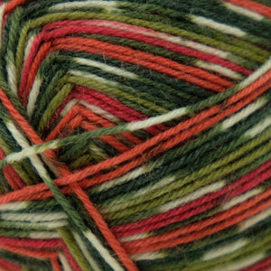 West Yorkshire Spinners Signature (4ply) Holly Berry (886)