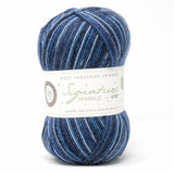 West Yorkshire Spinners Signature (4ply) Silent Night (906)