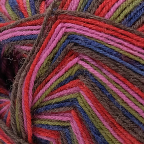 West Yorkshire Spinners Zandra Rhodes Signature (4ply) Forest Stripes (1026)