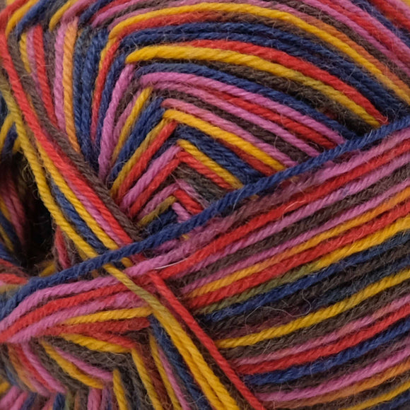 West Yorkshire Spinners Zandra Rhodes Signature (4ply) Sunset Bouquet(1023 )