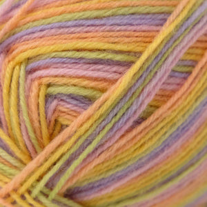 West Yorkshire Spinners Signature (4ply) Sherbert Fizz 847